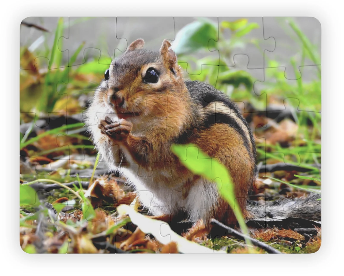 cute chipmunk puzzle for kids